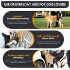 Adjustable Dog Lift Harness, Dog Sling For Large Dogs Lift Support And Rehab Harness For Weak Rear Legs, Soft Hind Leg Support Helps Senior, Injured, Disabled And After ACL Surgery Dogs