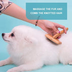 TrueLove Pet Hair Brush TLK20131