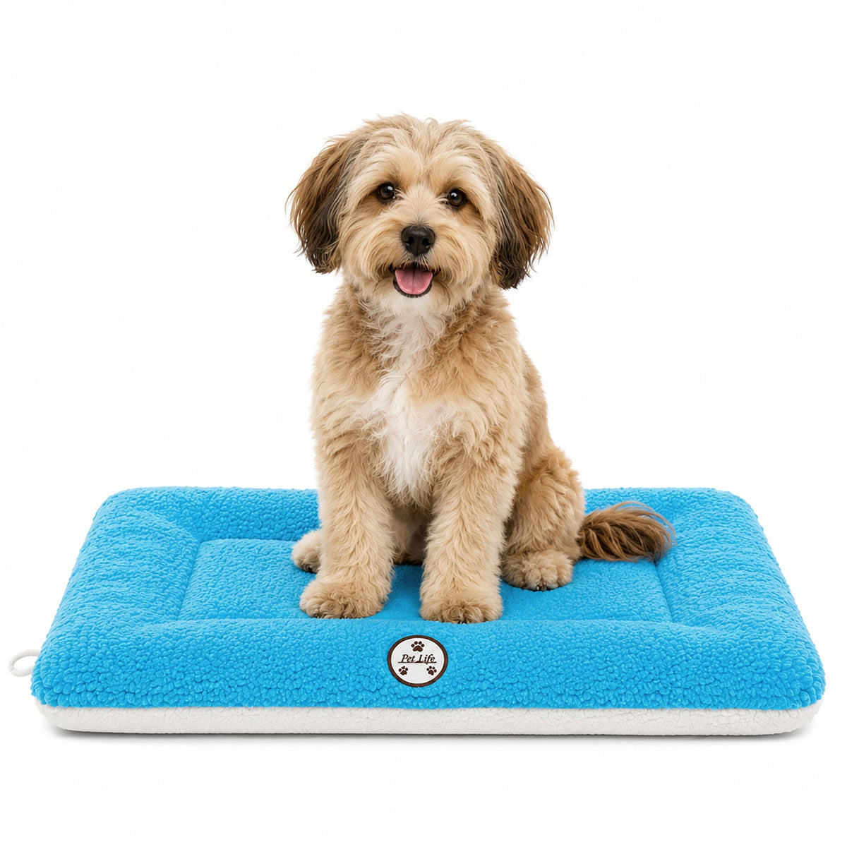 Pet Life ® 'Eco-Paw' Reversible Eco-Friendly Pet Bed Mat