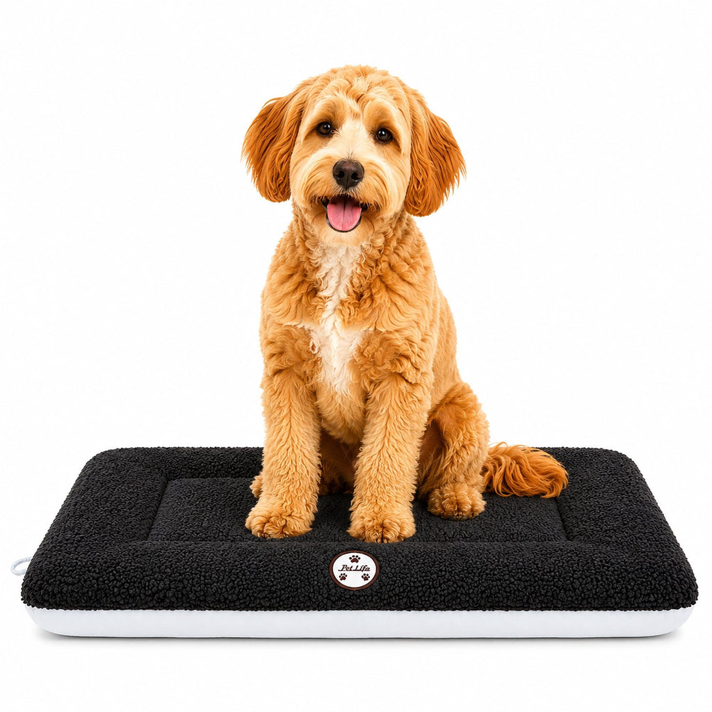 Pet Life ® 'Eco-Paw' Reversible Eco-Friendly Pet Bed Mat